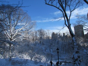 Winter Wonderland en Central Park
