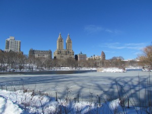 Invierno en Central Park
